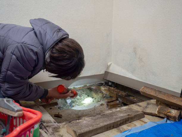 Dehumidification Services in Marengo, IA
