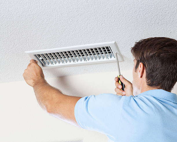 Best Mold Damage Restoration  in Marengo, IA