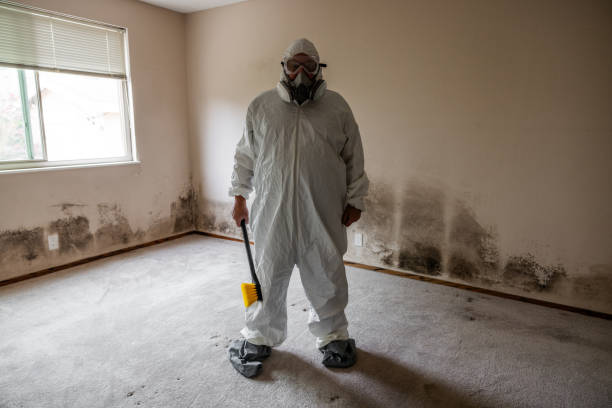 Best Forensic Mold Investigation  in Marengo, IA
